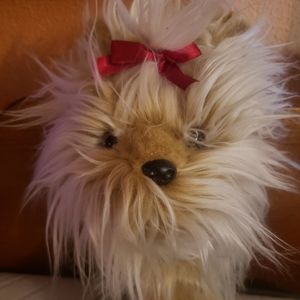 Shih Tzu Gold Club Head Cover by Daphne